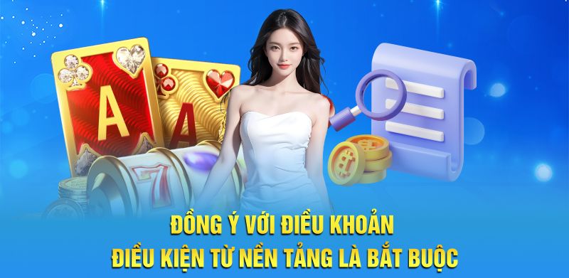 Đồng ý với điều khoản điều kiện từ nền tảng là bắt buộc