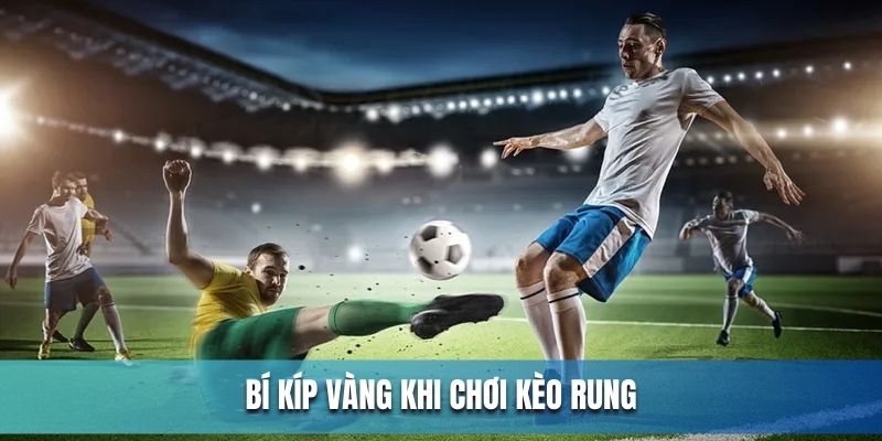 Bí kíp vàng để chơi kèo rung bất bại 