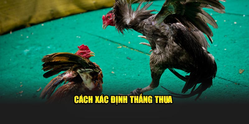 Cách xác định thắng thua