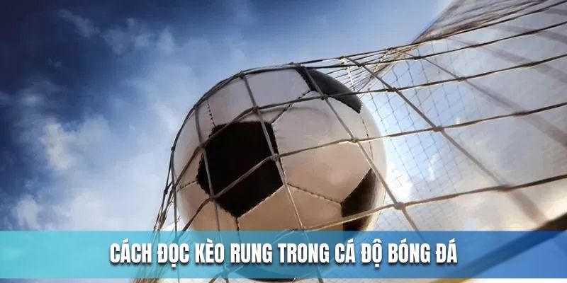 Chi tiết cách đọc kèo trong cá độ bóng đá