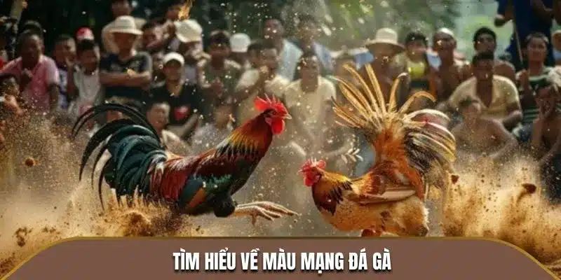 Giải thích đôi chút về màu mạng gà đá